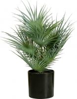 Europalms Fan palm, artificial plant, 55cm