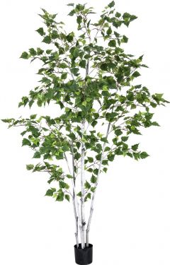 Europalms Birch Tree, artificial plant, 210cm