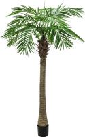 Europalms Phoenix palm tree luxor, artificial plant, 300cm