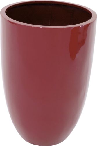 Europalms LEICHTSIN CUP-69, shiny-red