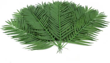 Europalms Coconut palm branch, artificial, 110cm 12x