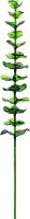 Europalms Crystal eucalyptus, artificial plant, green 81cm 12x
