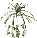 Kunstige planter, Europalms Spider plant, artificial, 60cm