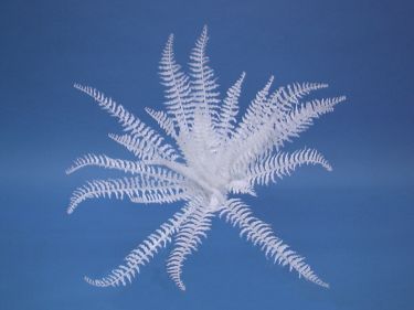 Europalms White boston fern, artificial, 60cm