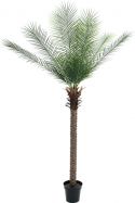 Udsmykning & Dekorationer, Europalms Phoenix palm deluxe, artificial plant, 220cm