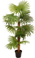 Udsmykning & Dekorationer, Europalms Fan Palm, artificial plant, 130cm Udsmykning & Dekorationer, Europalms Fan Palm, artificial plant, 130cm