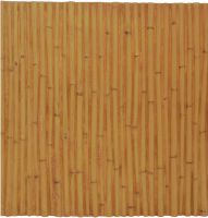 Europalms Wallpanel, bamboo, 100x100cm