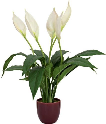Europalms Lily Peace, artificial plant, 49cm