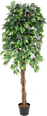 Europalms Ficus Tree Multi Trunk, artificial plant, 180cm