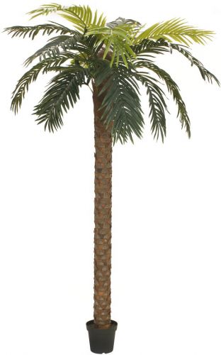 Europalms Phoenix Palm Deluxe, artificial plant, 250cm