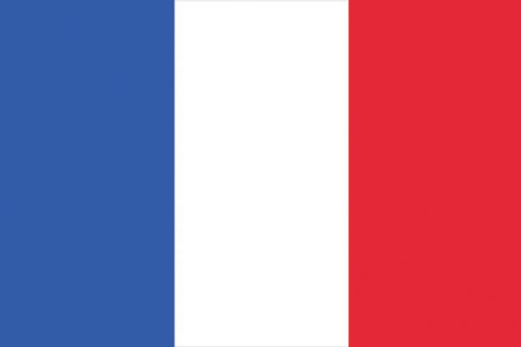 Europalms Flag, France, 600x360cm