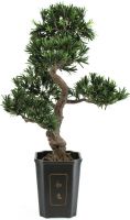 Europalms Bonsai Podocarpus, artificial plant, 80cm