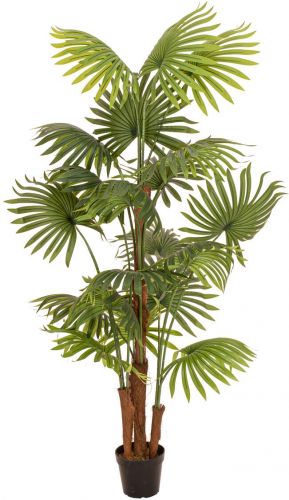 Europalms Fan Palm, artificial plant, 165cm