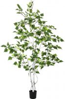 Europalms Birch Tree, artificial plant, 150cm