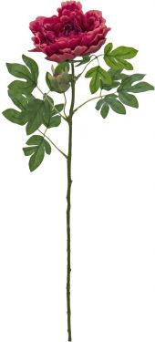 Europalms Peony Branch classic, artificial plant, magenta, 80cm
