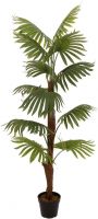 Europalms Fan Palm, artificial plant, 155cm