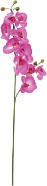 Europalms Orchid branch, artificial, purple, 100cm
