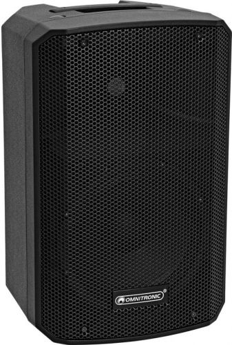 Omnitronic VFM-208 MK2 2-way Speaker